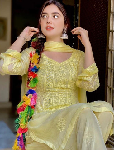 Handmade Chicken Kari With Mirror Work Ready to Wear 3Pc